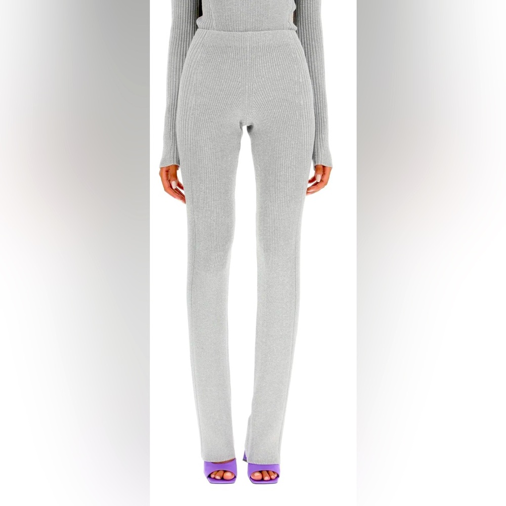 Dion Lee Pants | Size 8 (NWT)